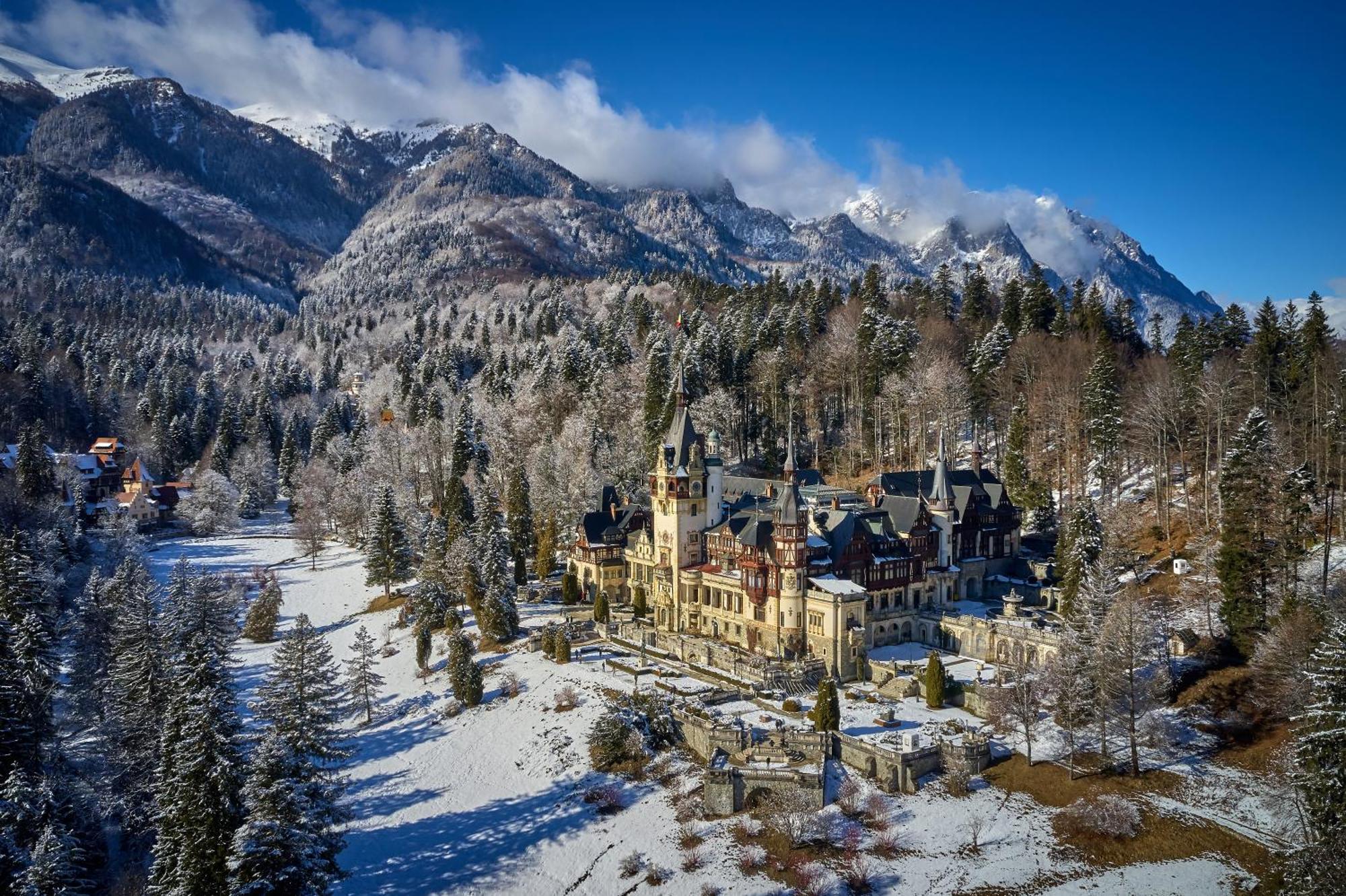 The Cozy Deer Apartment Sinaia Buitenkant foto
