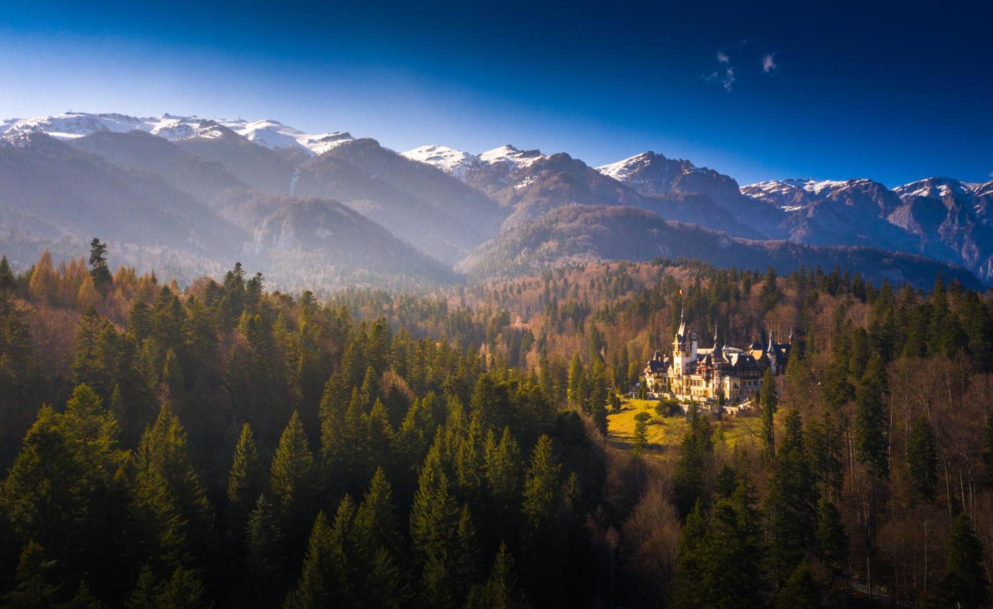 The Cozy Deer Apartment Sinaia Buitenkant foto